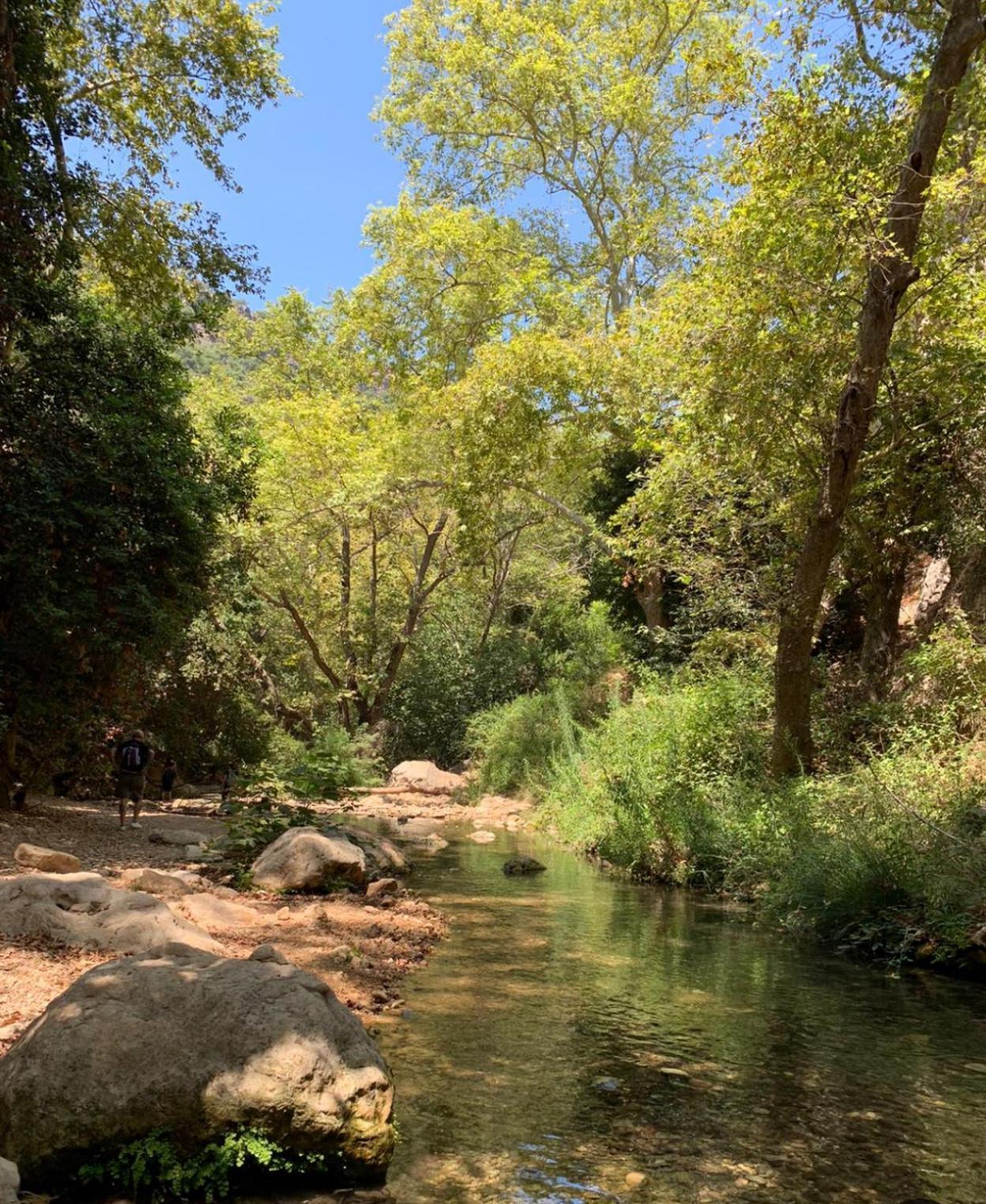 מצפה הילה המקום של נטע מראה חיצוני תמונה
